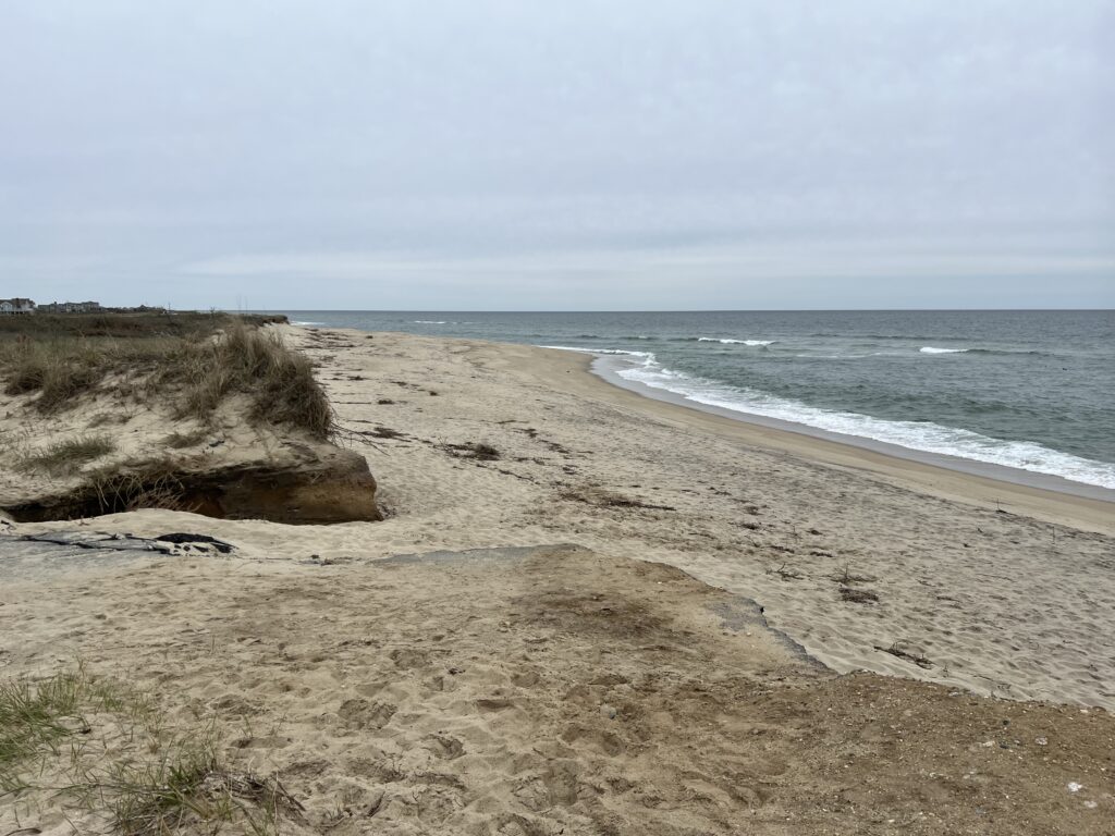 a sandy beach with waves crashing on it (MyCoast AI)