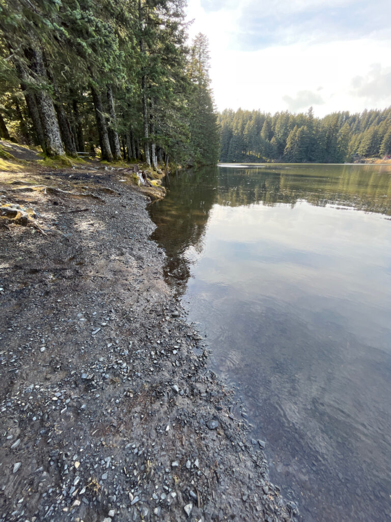 a lake surrounded by trees (MyCoast AI)