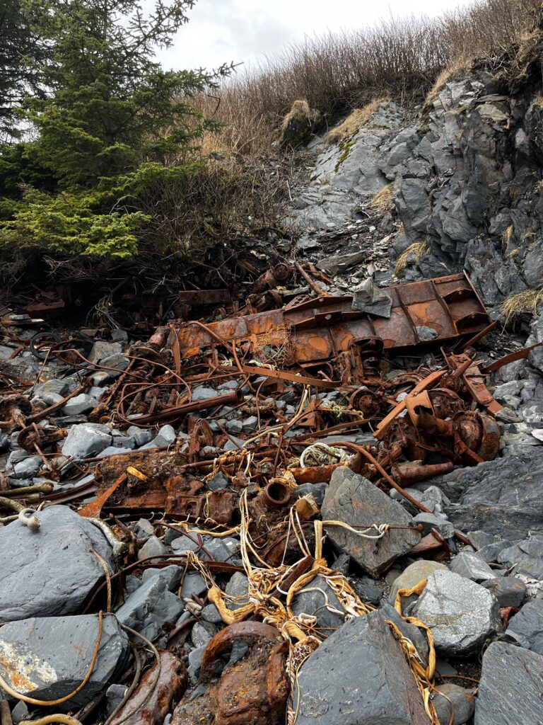 a pile of wood and rocks (MyCoast AI)