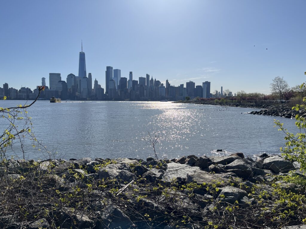 a city skyline across a body of water (MyCoast AI)