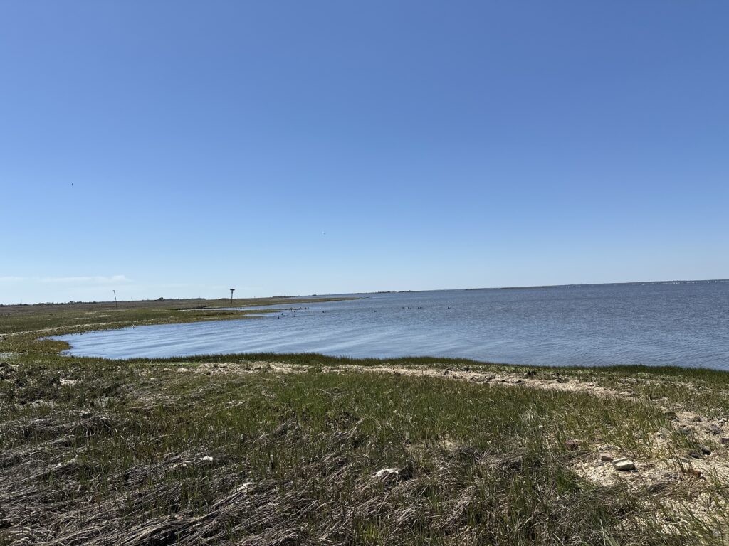 a body of water with grass and rocks around it (MyCoast AI)