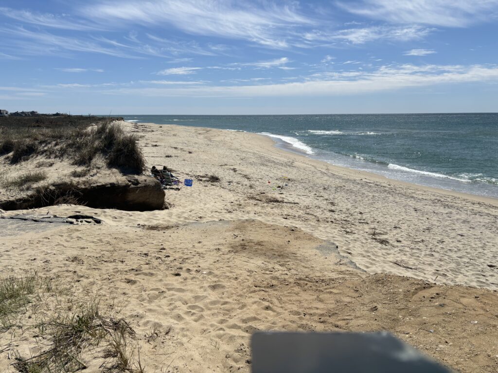 a sandy beach with a body of water in the background (MyCoast AI)