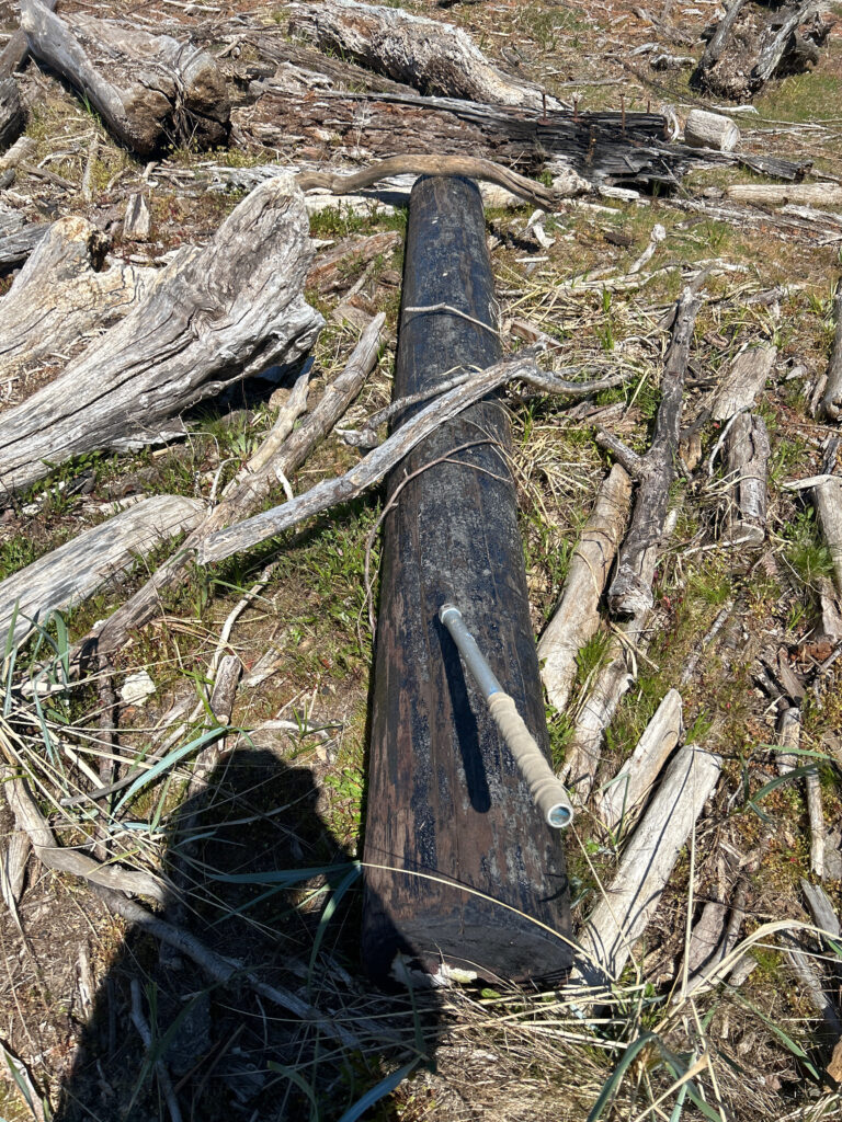 a wooden fence in a forest (MyCoast AI)