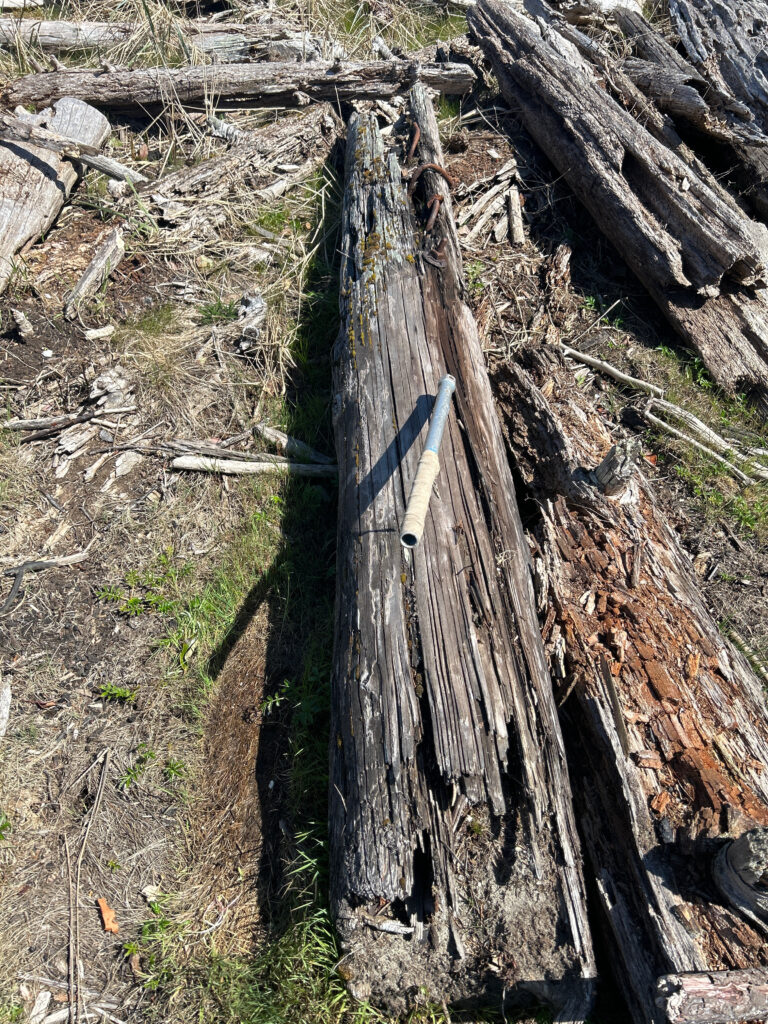 a wooden fence in a forest (MyCoast AI)