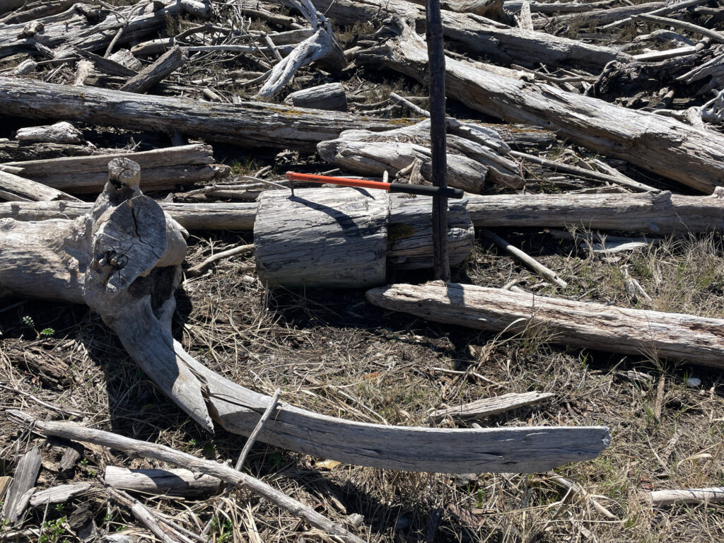 a pile of wood and sticks (MyCoast AI)
