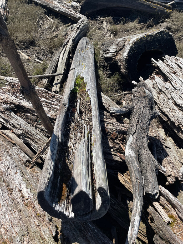a wooden bridge over a river (MyCoast AI)