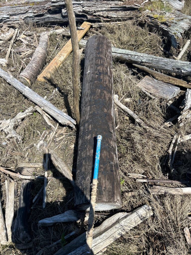 a wood fence with a blue object in it (MyCoast AI)