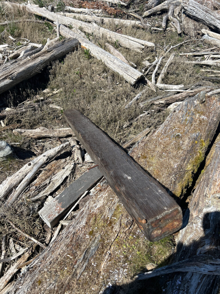 a pile of cut logs (MyCoast AI)