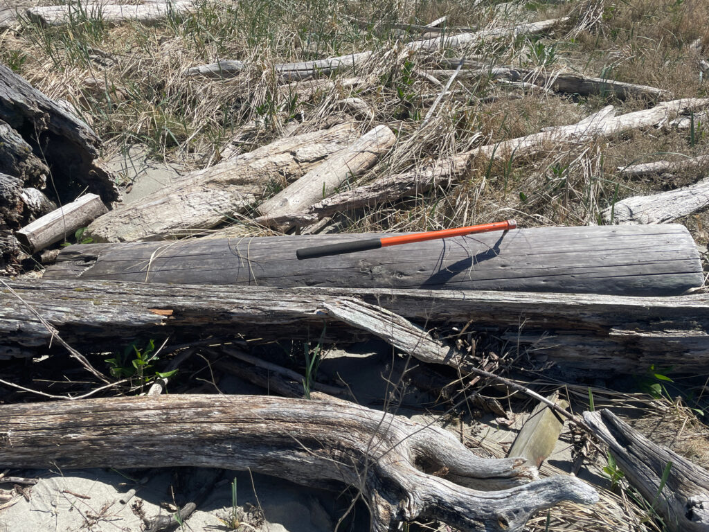 a knife on a log (MyCoast AI)