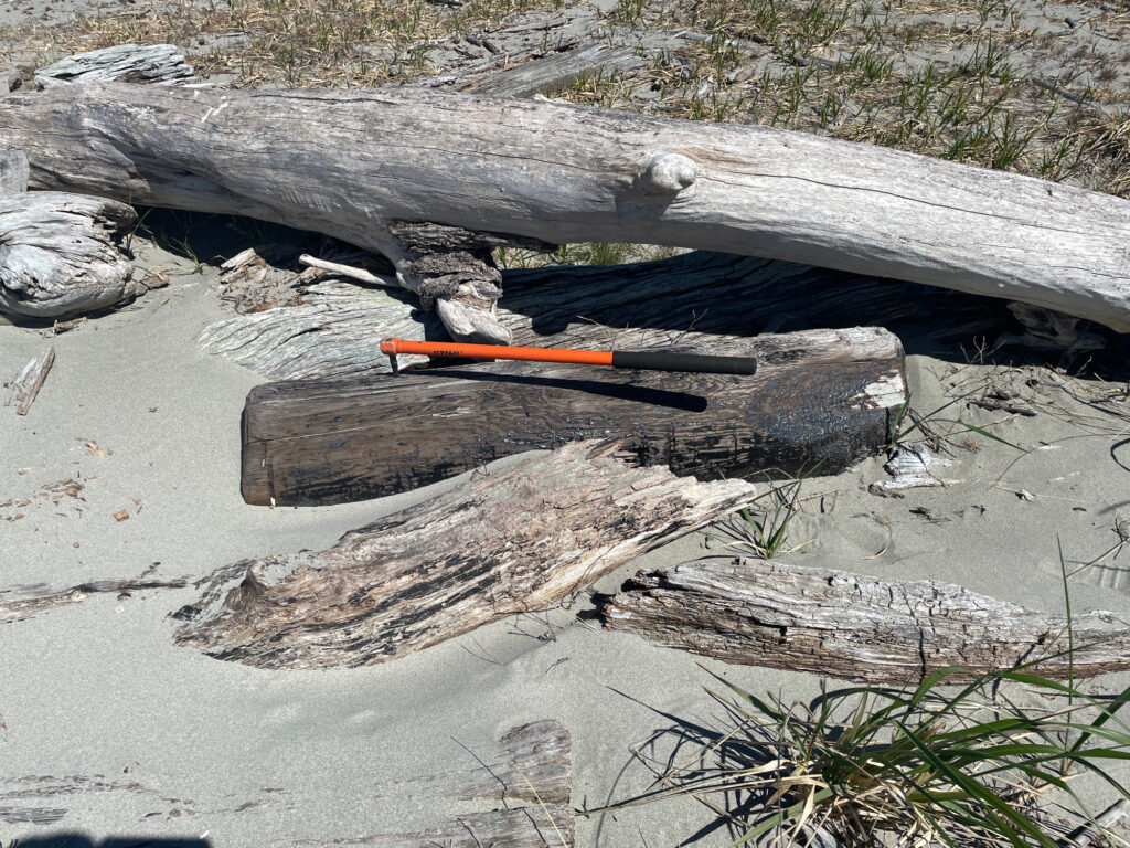 a pile of wood and a pile of logs (MyCoast AI)