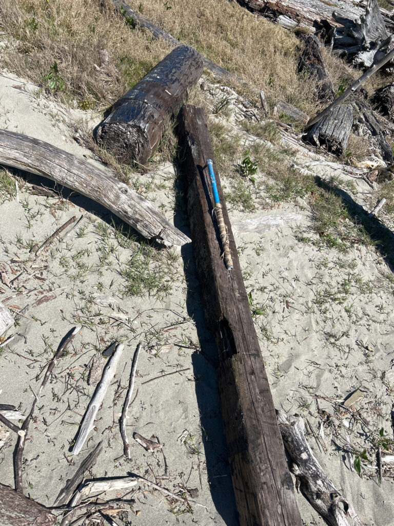 a pipe in the ground (MyCoast AI)