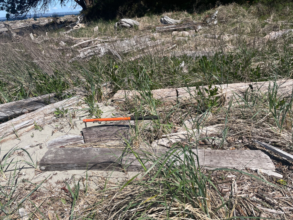 a bench sits in the middle of a field (MyCoast AI)