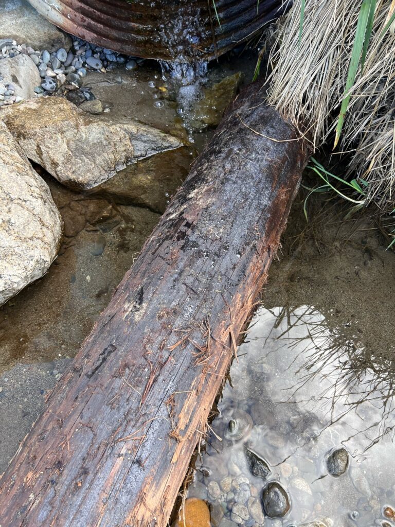 a stream of water flowing over rocks (MyCoast AI)