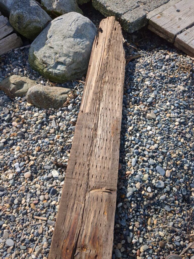 a wooden post on a rocky surface (MyCoast AI)