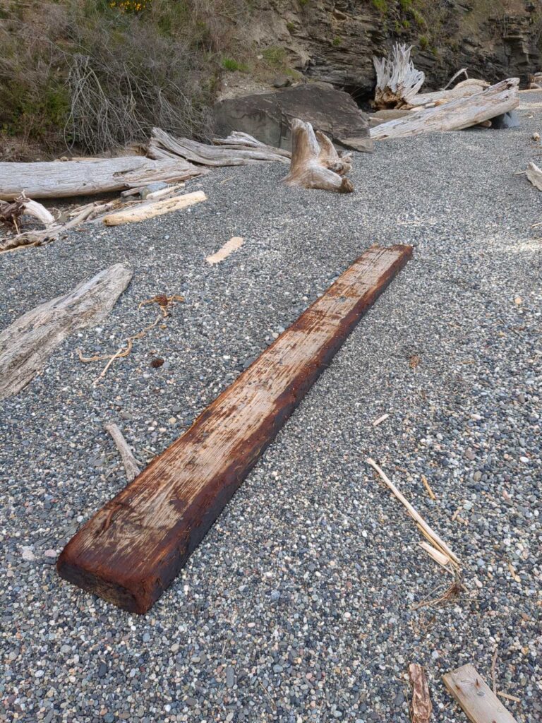 a wooden object on the ground (MyCoast AI)