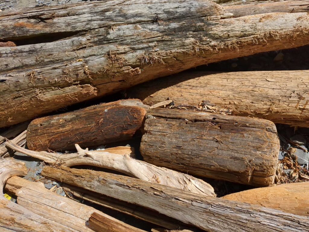 a group of wood pieces (MyCoast AI)