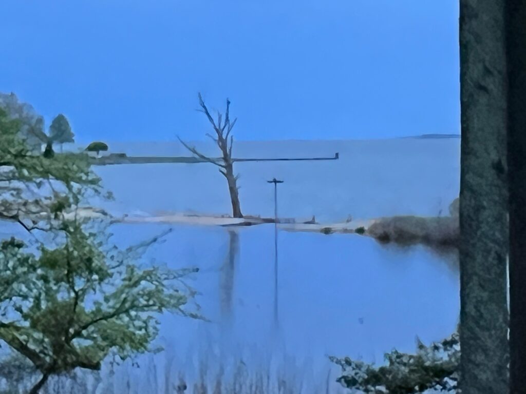 a snowy landscape with trees (MyCoast AI)