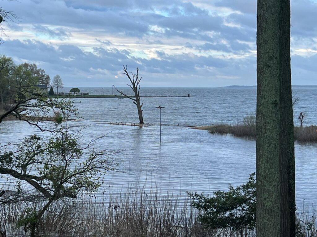 a body of water with trees and grass around it (MyCoast AI)
