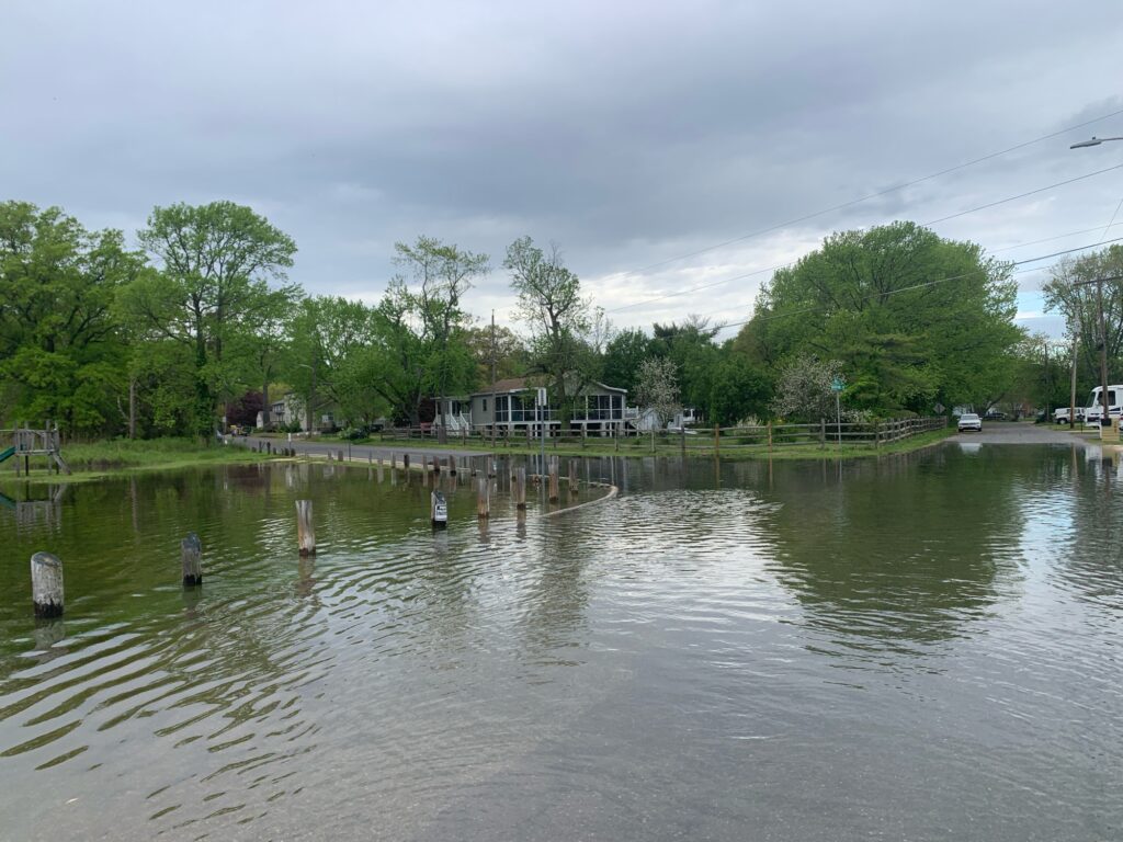 a body of water with trees and buildings in the background (MyCoast AI)