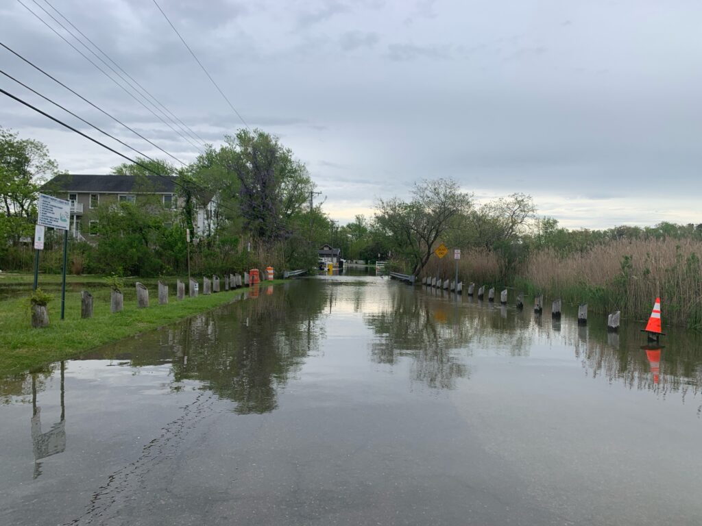 a flooded area with a road and trees (MyCoast AI)
