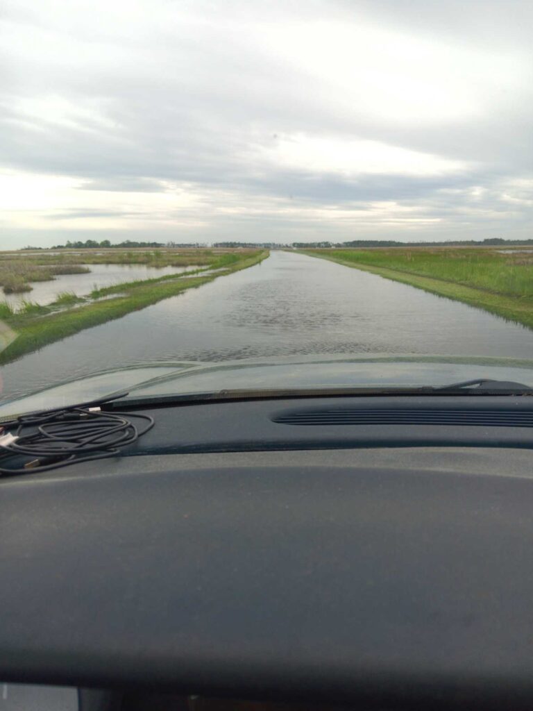 a road with grass and water on the side (MyCoast AI)