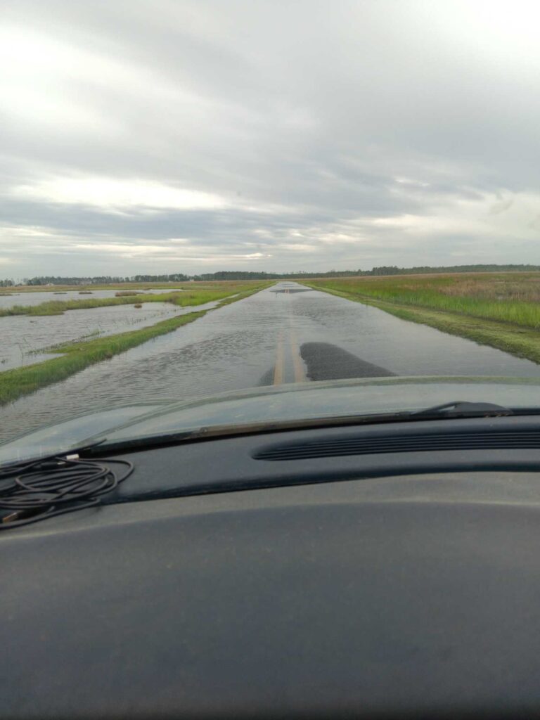 a road with grass on the side (MyCoast AI)