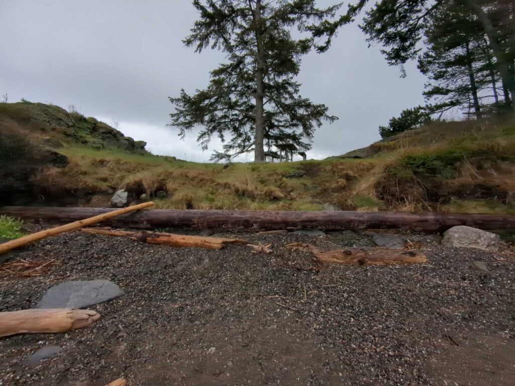 a group of trees on a hill (MyCoast AI)