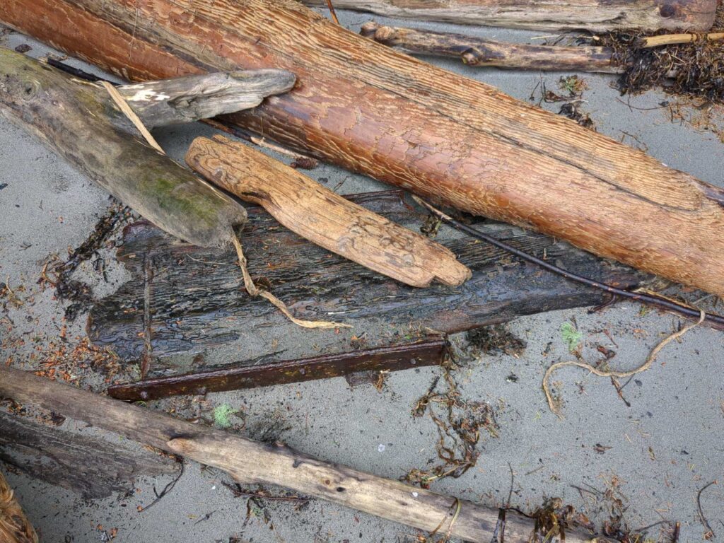 a group of sticks on the ground (MyCoast AI)