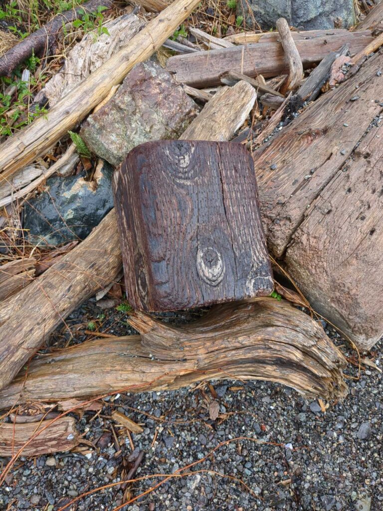 a pile of cut logs (MyCoast AI)