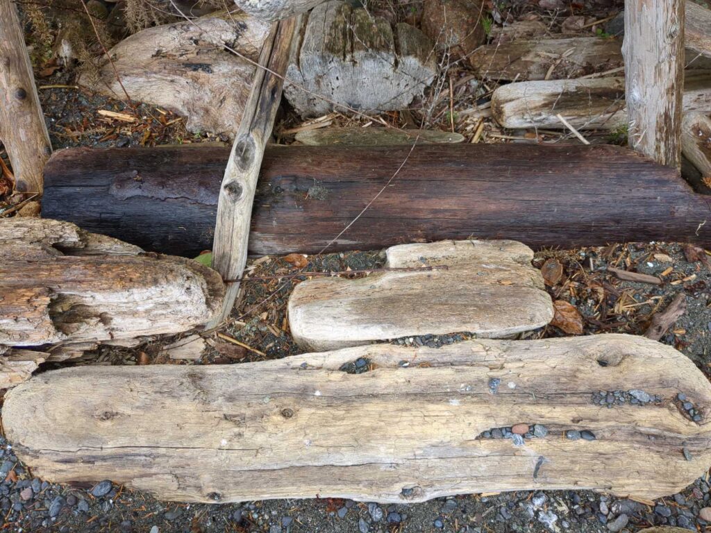 a pile of cut logs (MyCoast AI)
