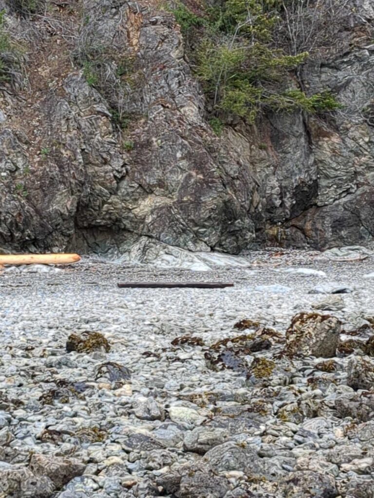 a rocky river bed (MyCoast AI)