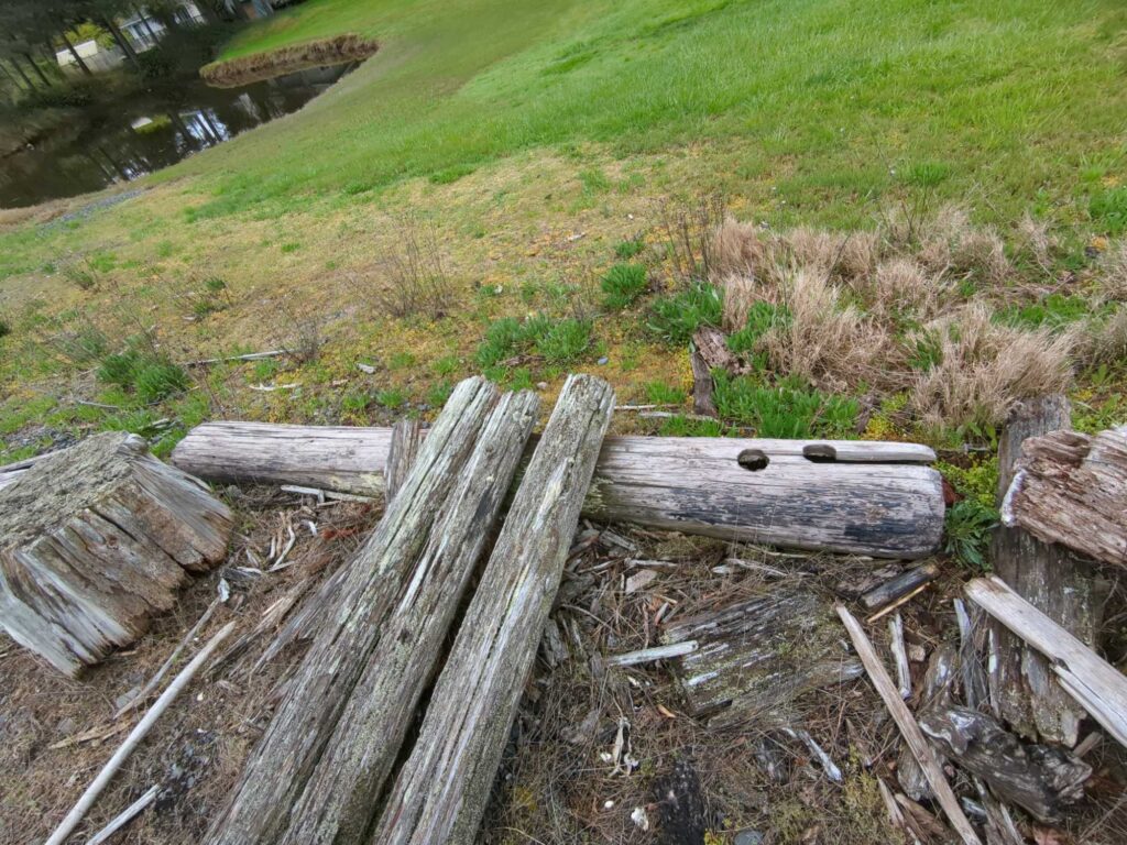 a wooden bridge over a stream (MyCoast AI)