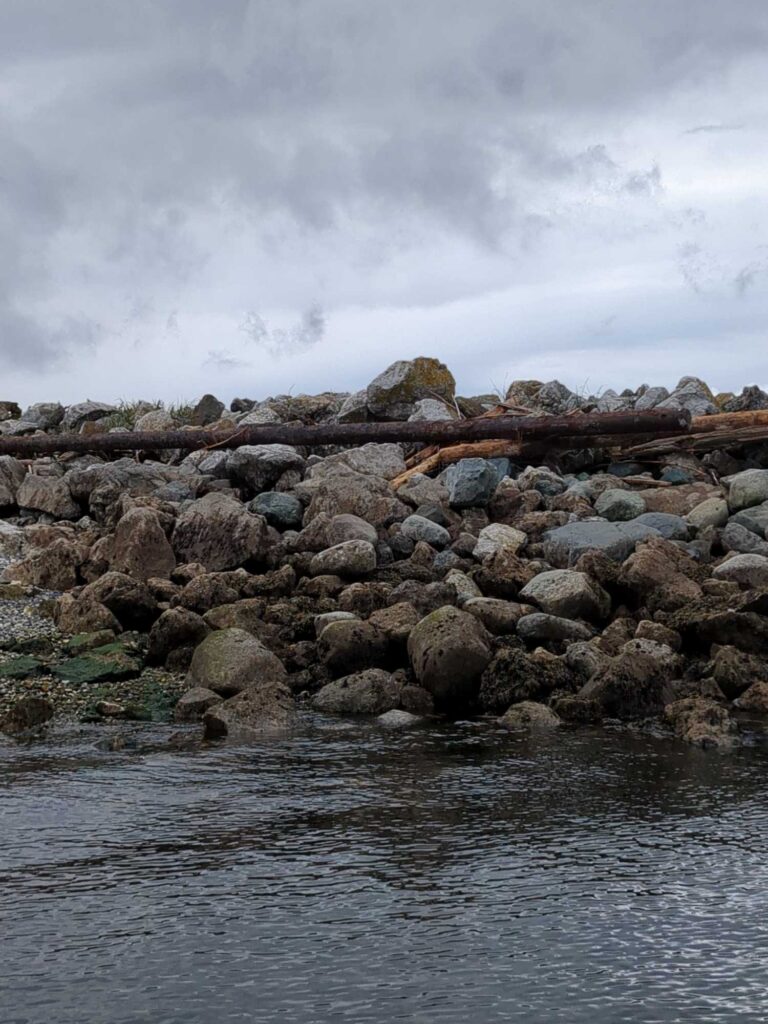 a rocky shoreline with a cloudy sky (MyCoast AI)