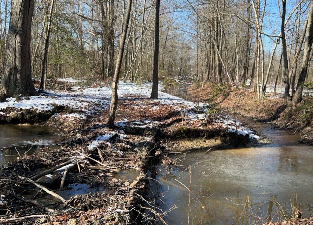 a stream with snow and trees (MyCoast AI)