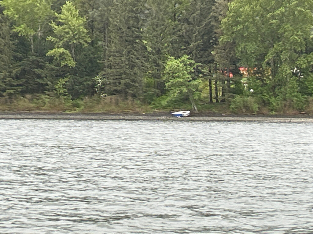 a boat on the water (MyCoast AI)