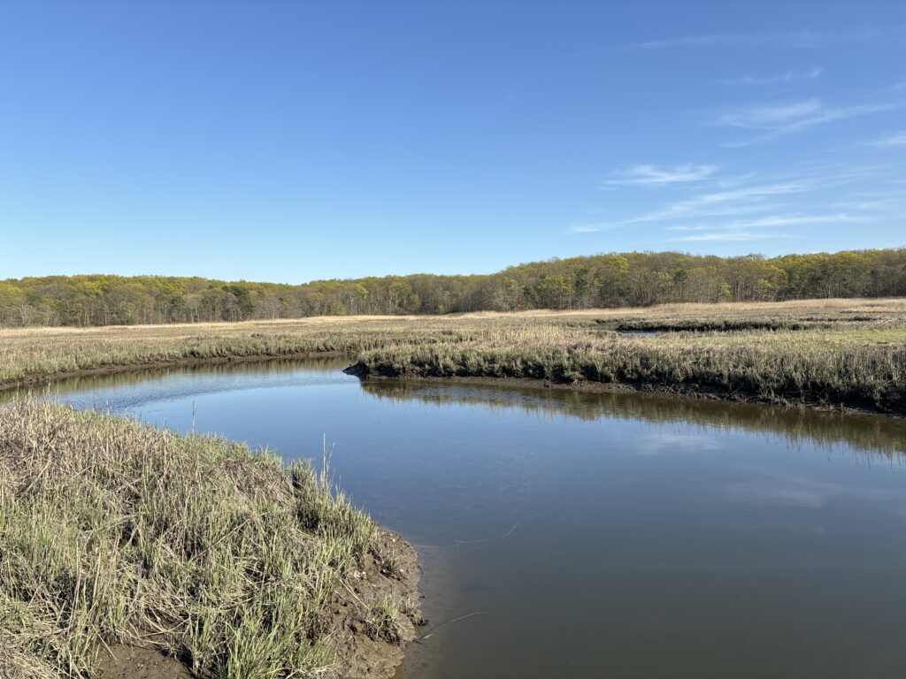 a body of water with grass and trees around it (MyCoast AI)