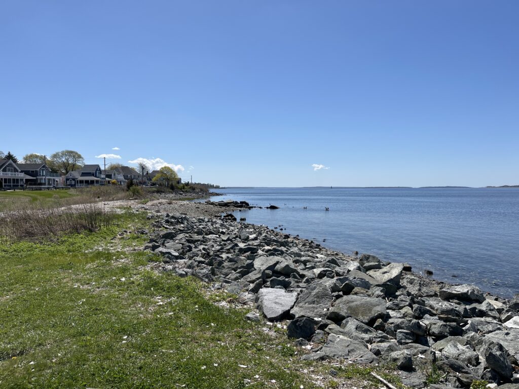 a rocky beach with houses and water (MyCoast AI)
