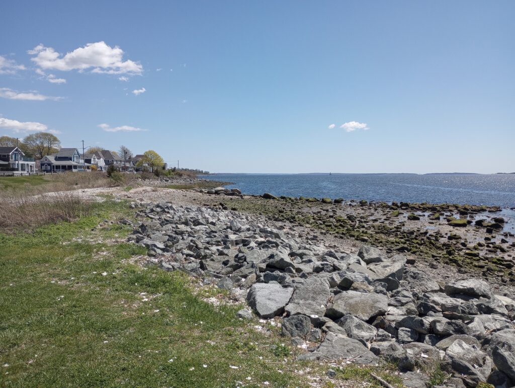 a rocky beach with houses and trees (MyCoast AI)