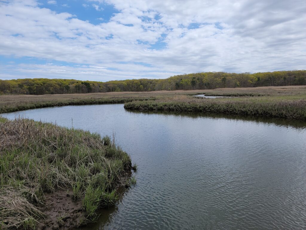 a body of water with land in the back (MyCoast AI)