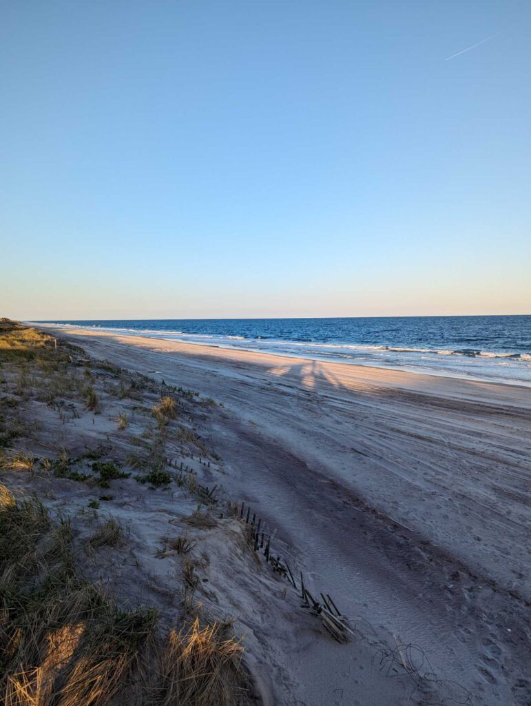 a sandy beach with plants and water (MyCoast AI)