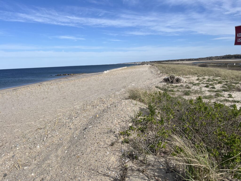 a sandy beach with bushes and a body of water in the background (MyCoast AI)