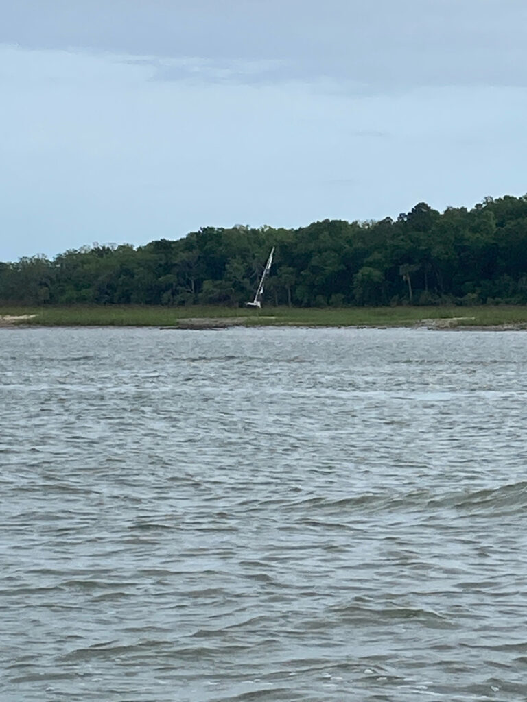 a body of water with trees in the background (MyCoast AI)