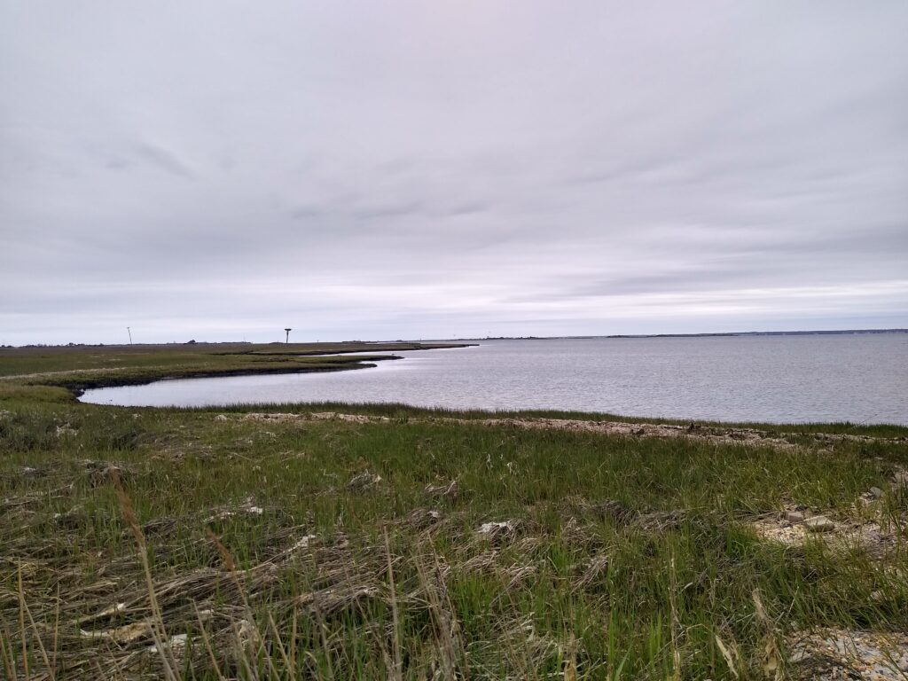 a grassy area next to a body of water (MyCoast AI)