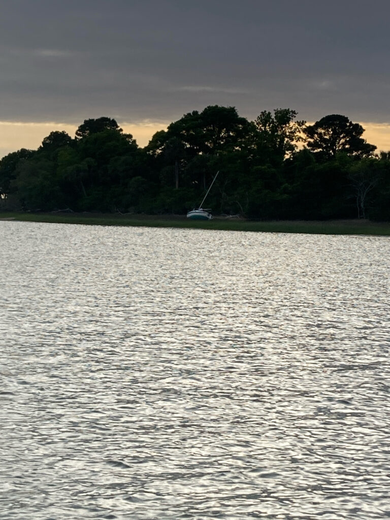 a body of water with trees around it (MyCoast AI)