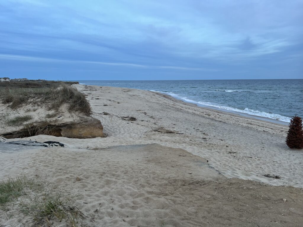 a sandy beach with rocks and water (MyCoast AI)
