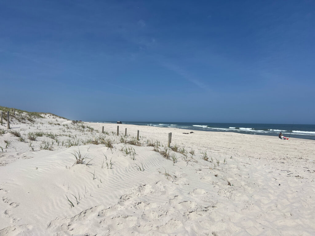 a sandy beach with a fence and bushes (MyCoast AI)