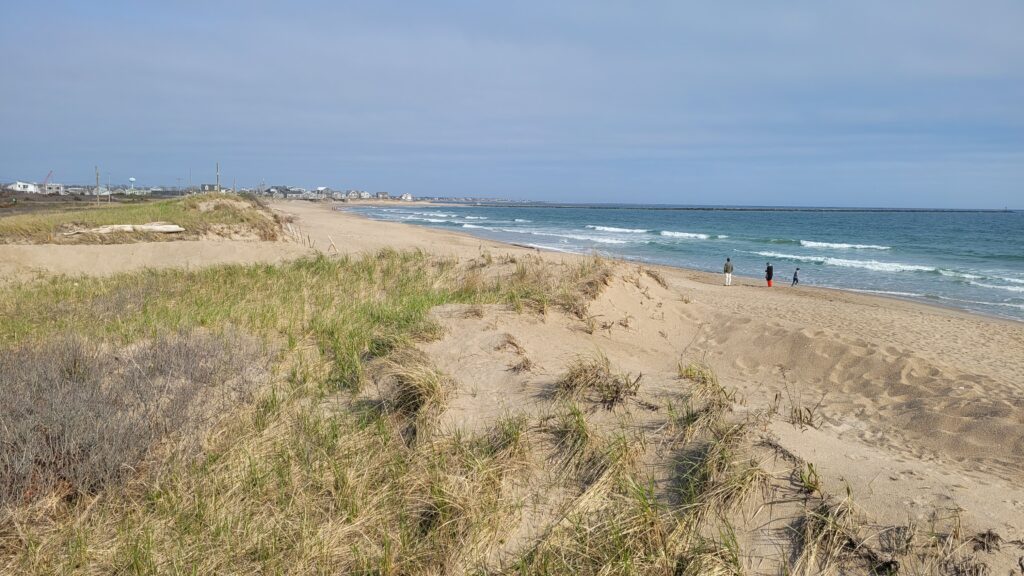 people walking on a beach (MyCoast AI)