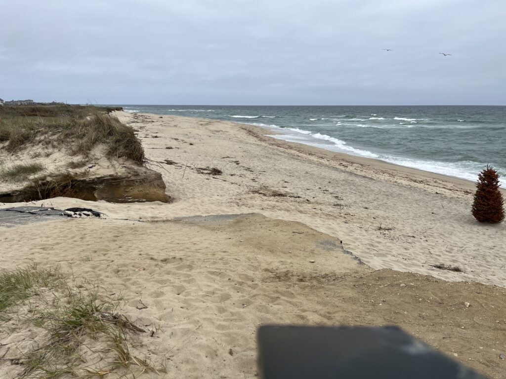 a sandy beach with a rock and a body of water in the background (MyCoast AI)