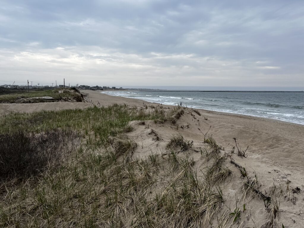 a beach with sand and grass (MyCoast AI)