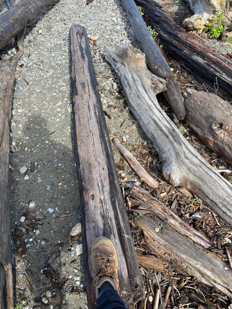a person's foot on a wooden plank (MyCoast AI)